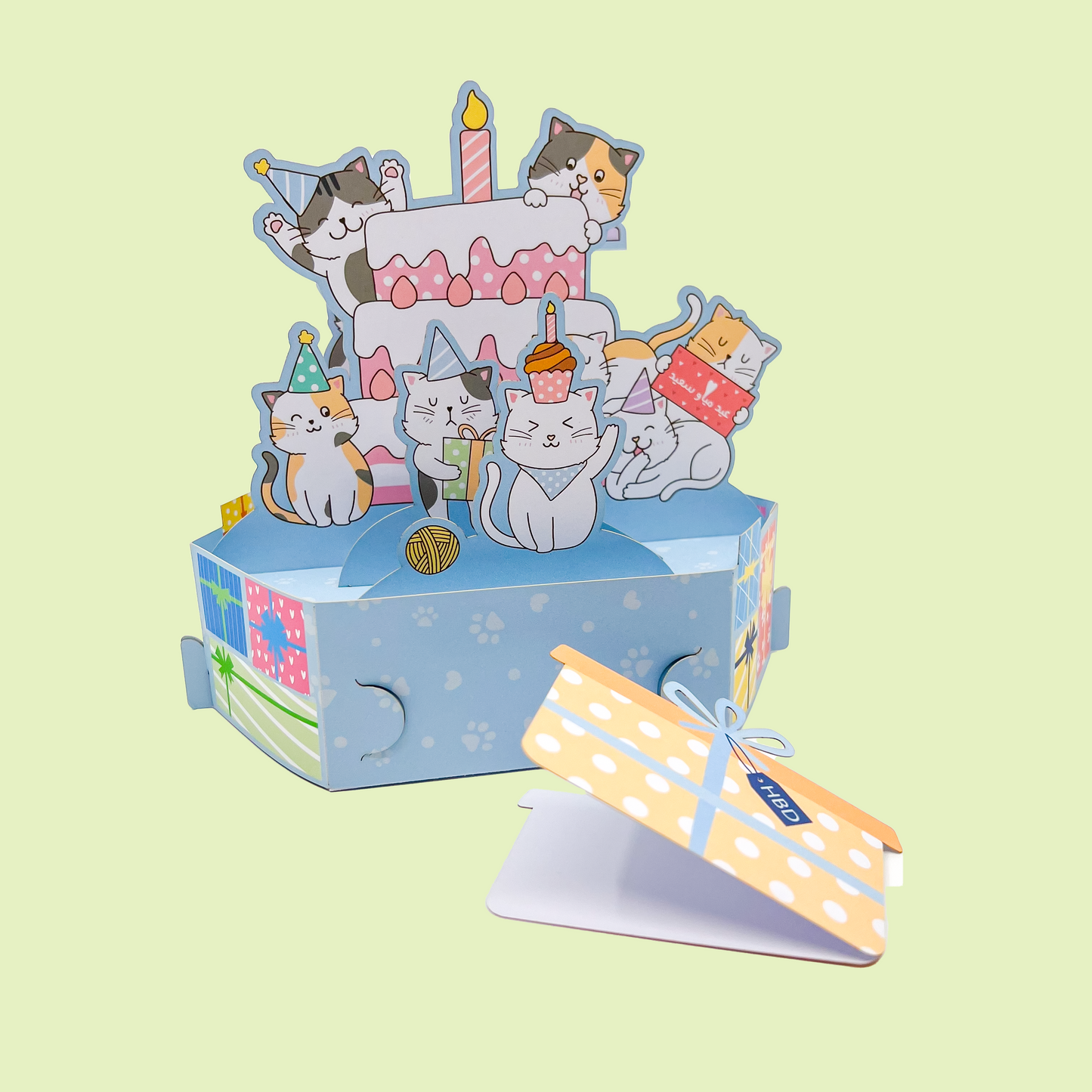 Cats birthday